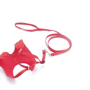 HAP HARNESS ALEX LEASH S 120CM X