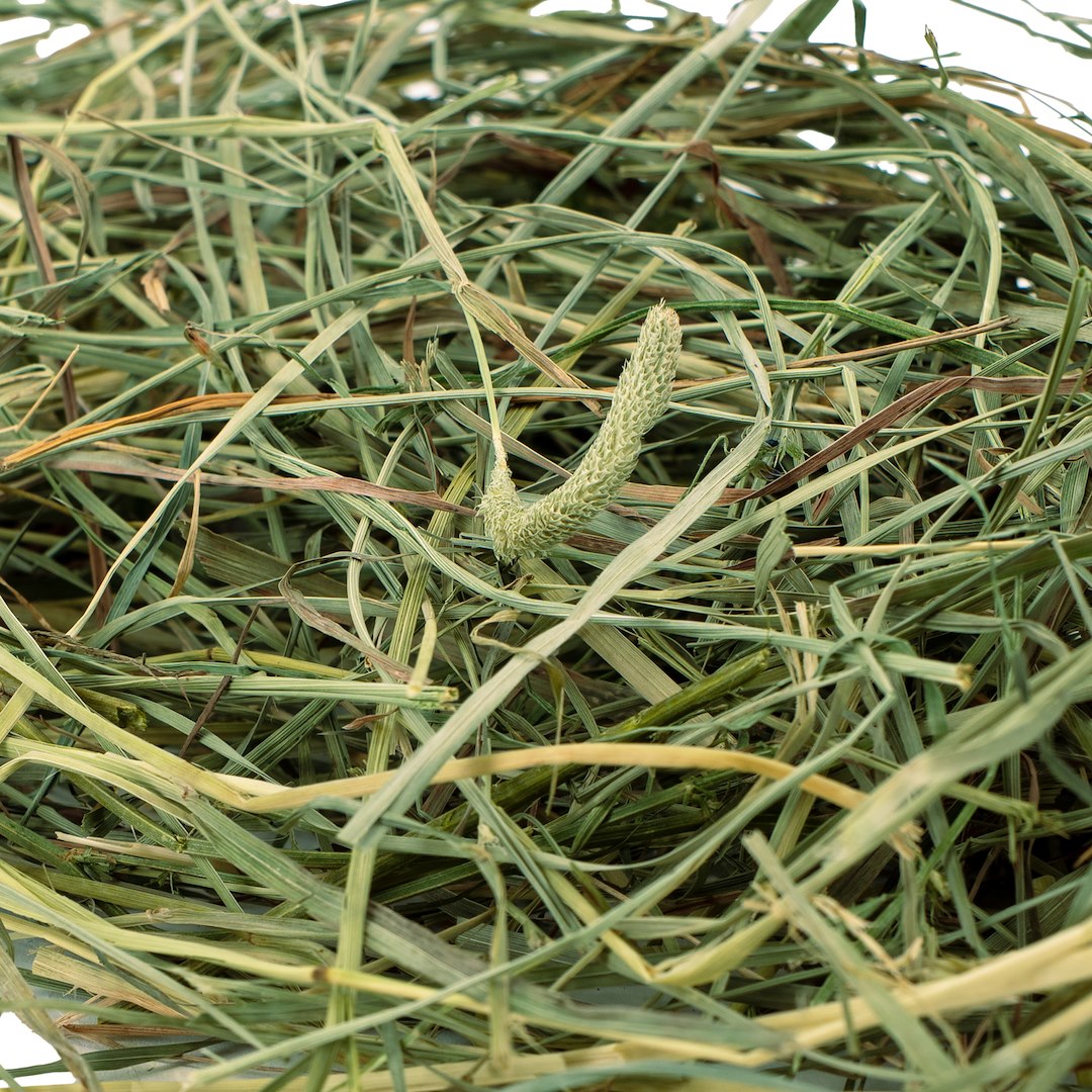 COMFY HAY WITH TIMOTHY GRASS 350G - Image 2