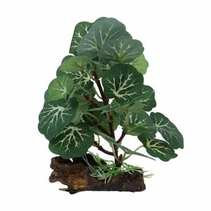SILK PLANT 9005 (13CM)
