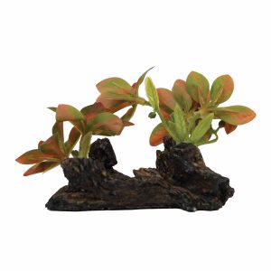 SILK PLANT 8003 (12CM)