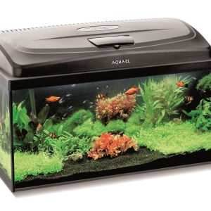 AQUARIUM SET CLASSIC BOX 60/P D&N