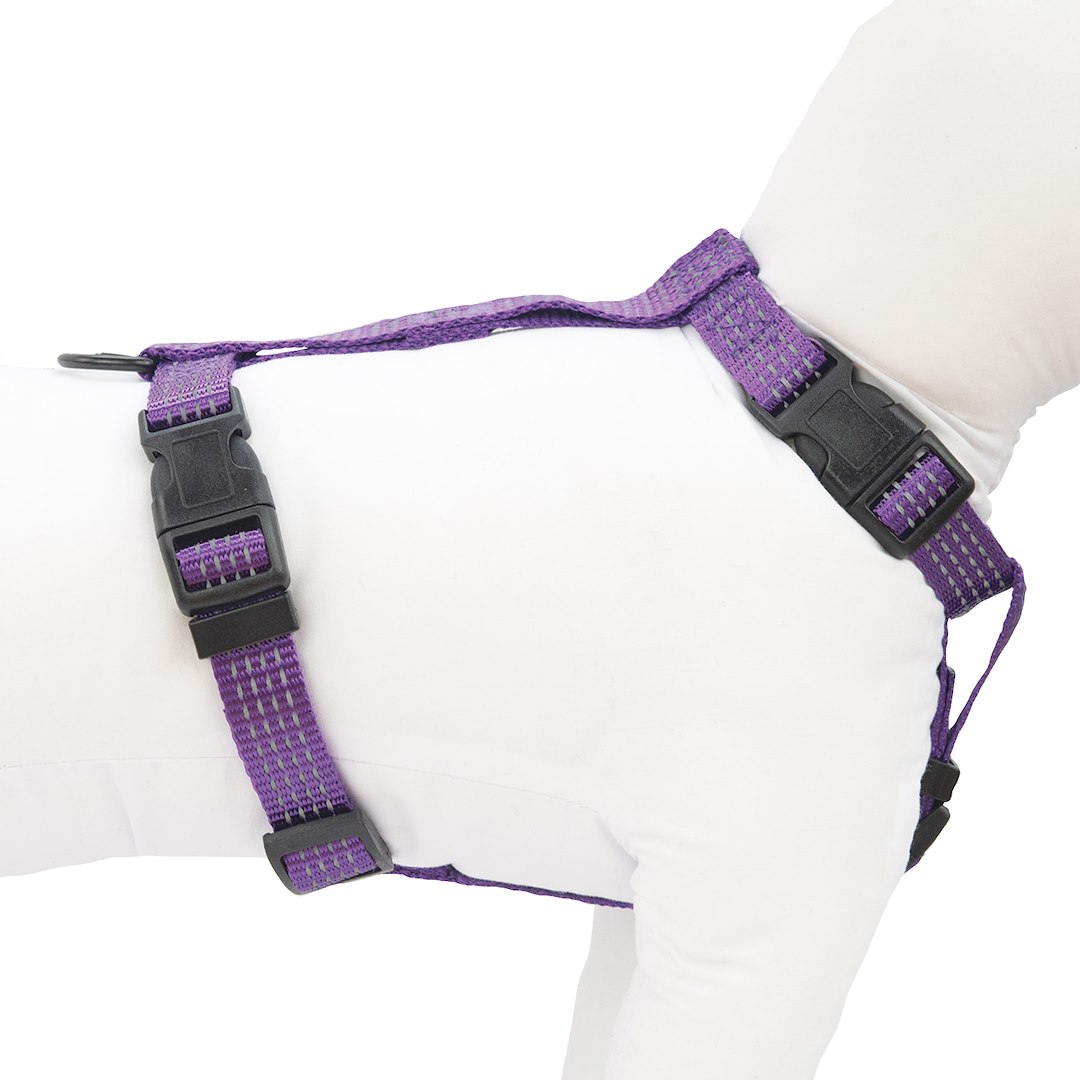 HAP HARNESS COMFORT REF VIO XS