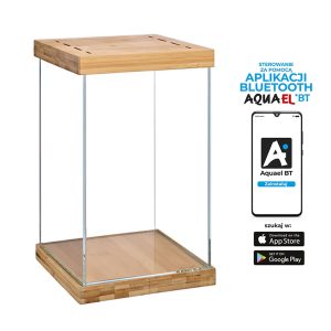 SELVA - MINI TERRARIUM