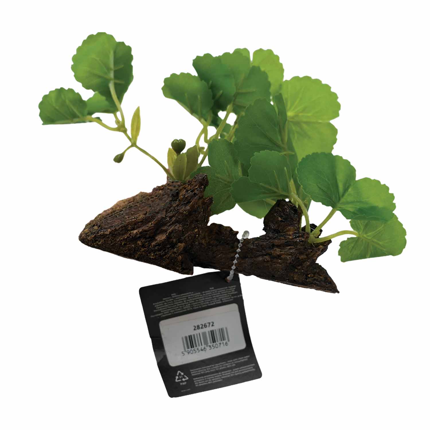 SILK PLANT 8005 (12CM) - Image 2
