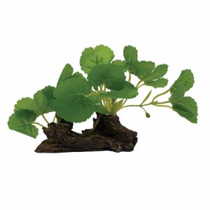 SILK PLANT 8005 (12CM)