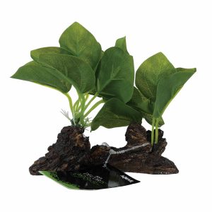 SILK PLANT 8006 (12CM)