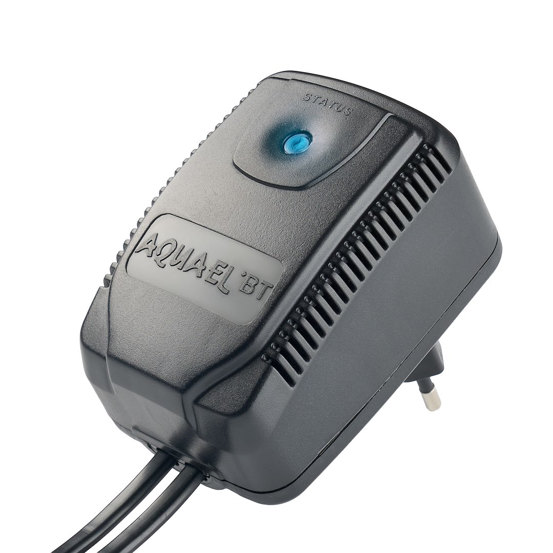 SOCKET DUO BT