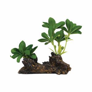 SILK PLANT 8001 (12CM)